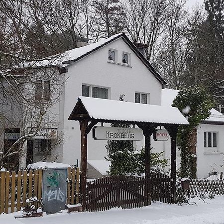 Hotel Kronberg Kronberg im Taunus Dış mekan fotoğraf
